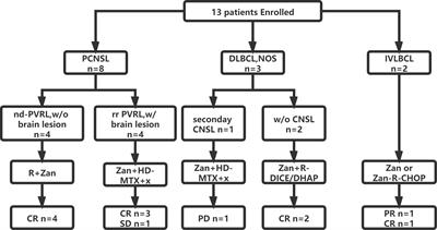 Preliminary Evaluation of Zanubrutinib-Containing Regimens in DLBCL and the Cerebrospinal Fluid Distribution of Zanubrutinib: A 13-Case Series